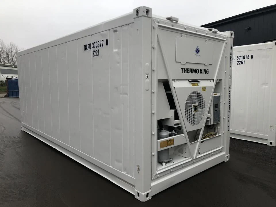 Kontener chłodniczy Thermo King 20 stóp – zdjęcie 3