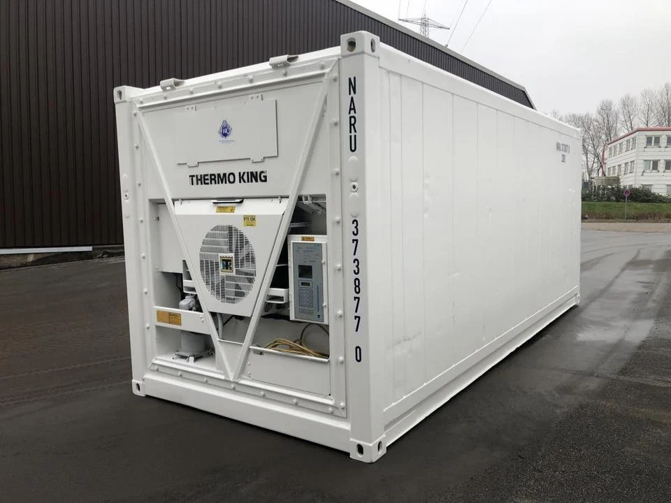 Kontener chłodniczy Thermo King 20 stóp – zdjęcie 4